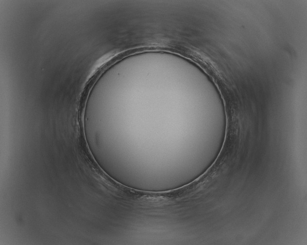 X0000116621168200912241747