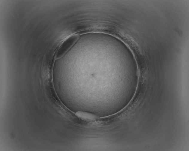 X0000116621169200912241747