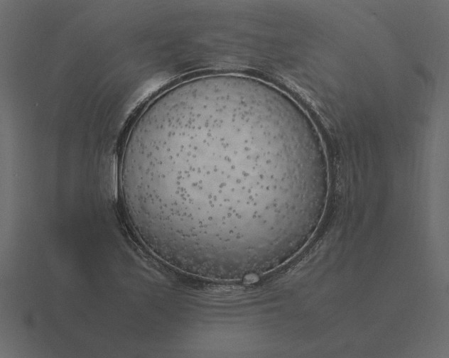 X0000116621171200912241747