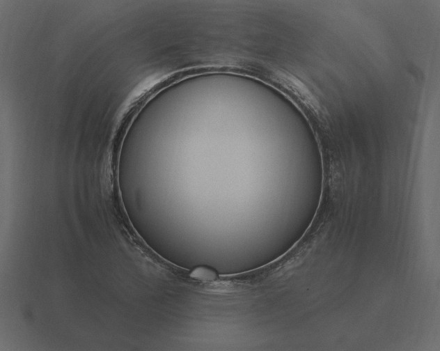 X0000116621172200912241747