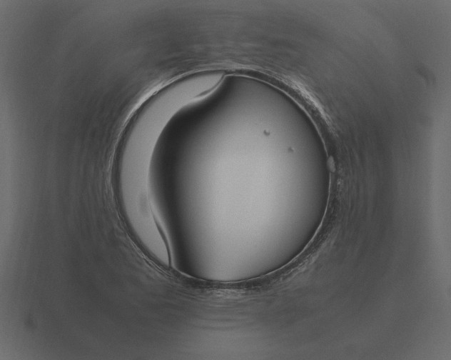 X0000116621173200912241747