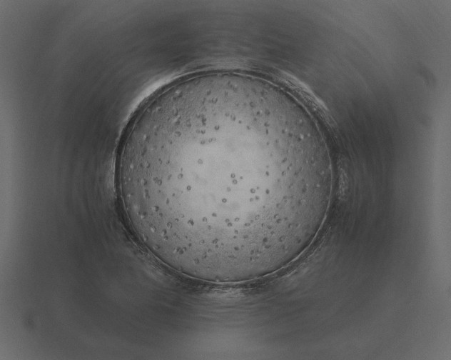 X0000116621174200912241747