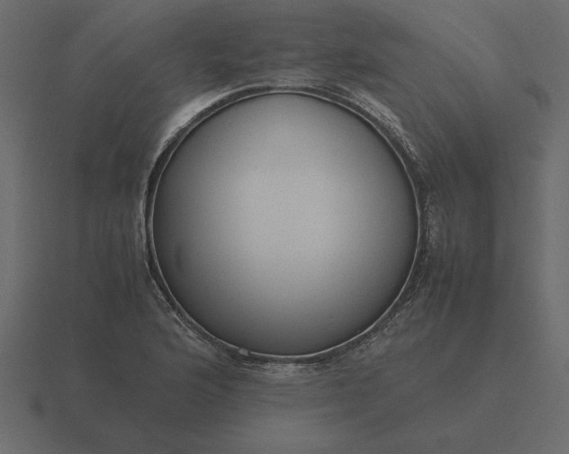 X0000116621176200912241747