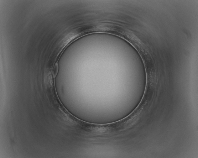 X0000116621177200912241747