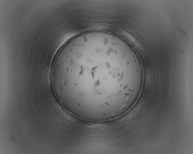 X0000116621178200912241747