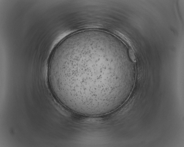 X0000116621179200912241747