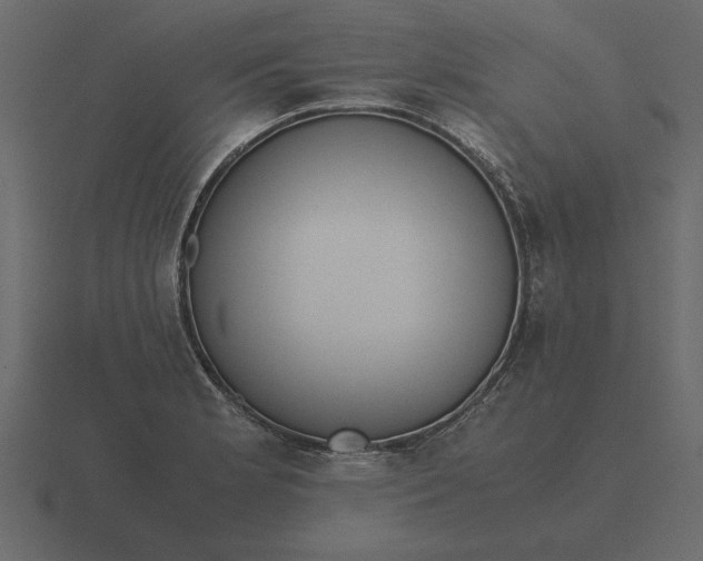 X0000116621181200912241747