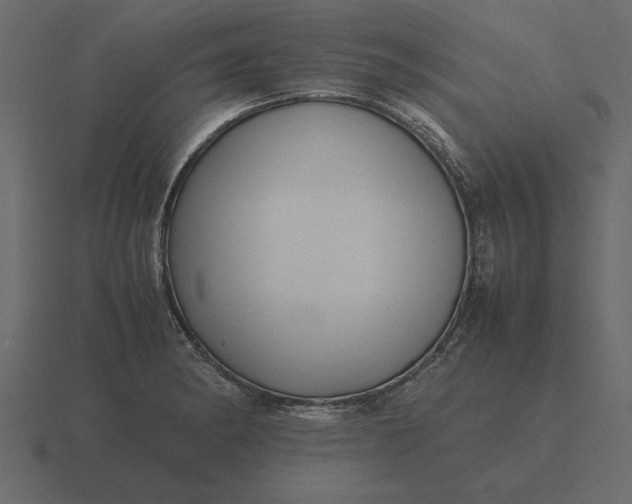 X0000116621182200912241747