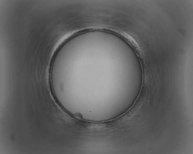 X0000116621183200912241747