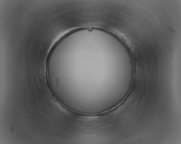 X0000116621184200912241747