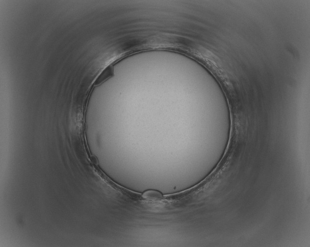 X0000116621185200912241747