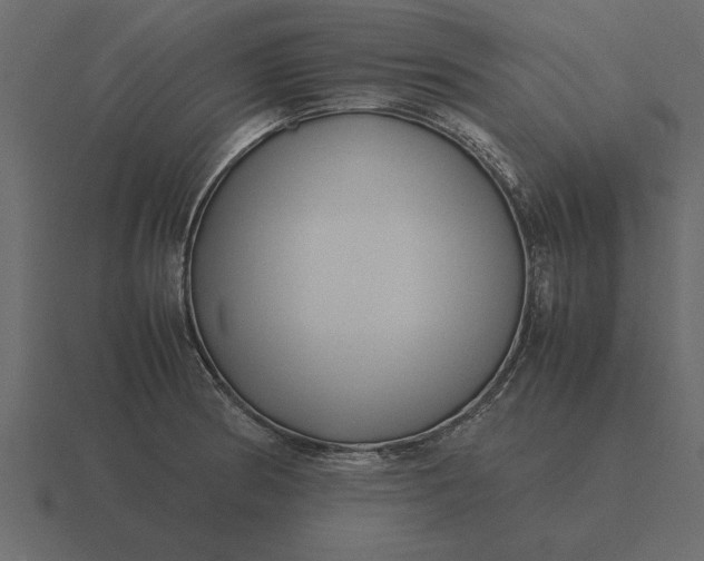 X0000116621186200912241747