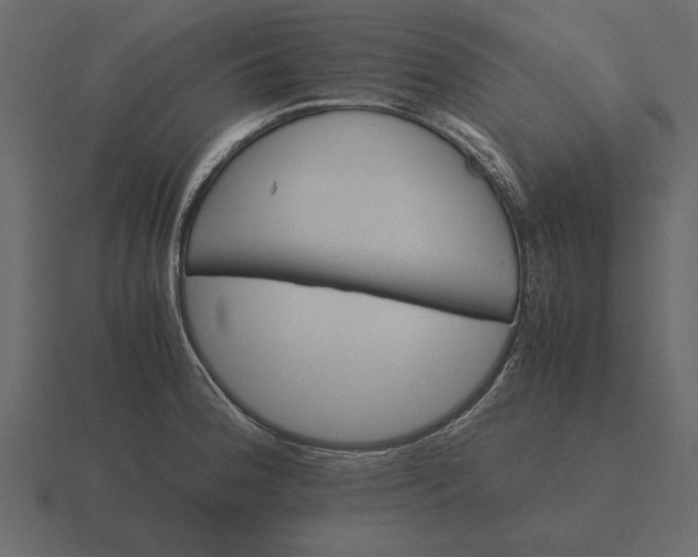 X0000116621188200912241747