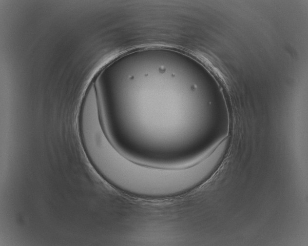 X0000116621189200912241747