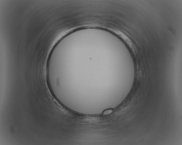 X0000116621191200912241747