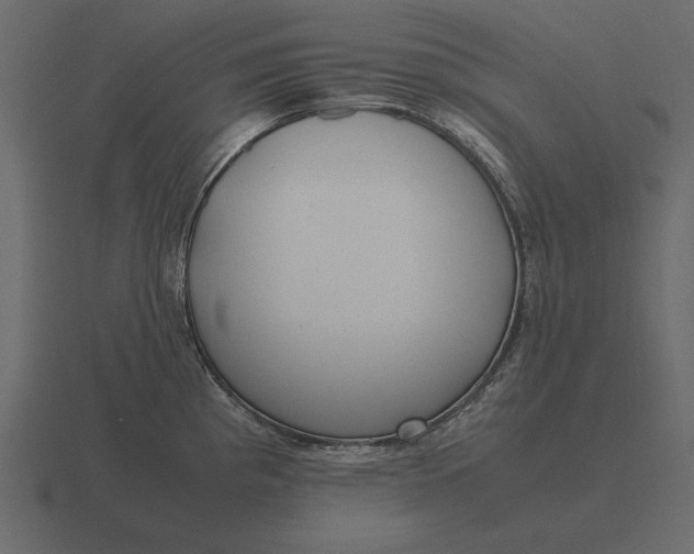 X0000116621193200912241747