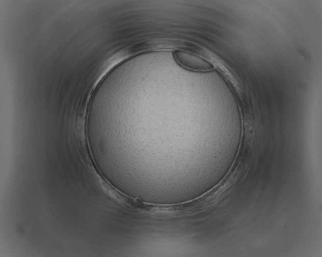 X0000116621194200912241747