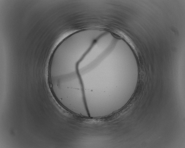 X0000116621195200912241747