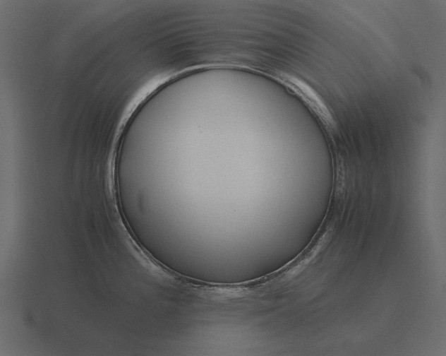 X0000116621196200912241746