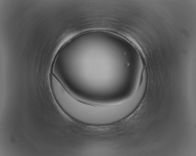 X0000116621197200912241746