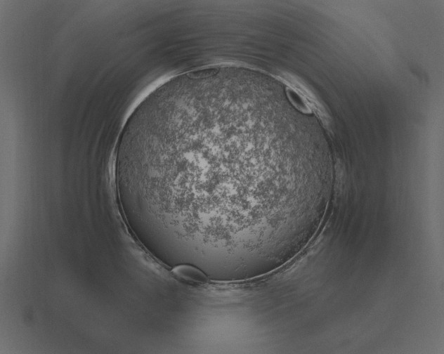 X0000116621198200912241746