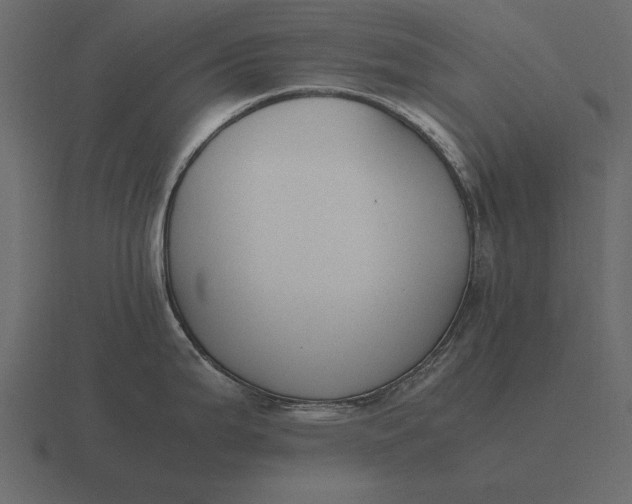 X0000116621199200912241746