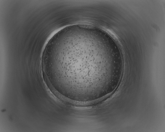 X0000116621200200912241746