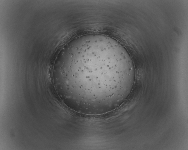 X0000116621202200912241746