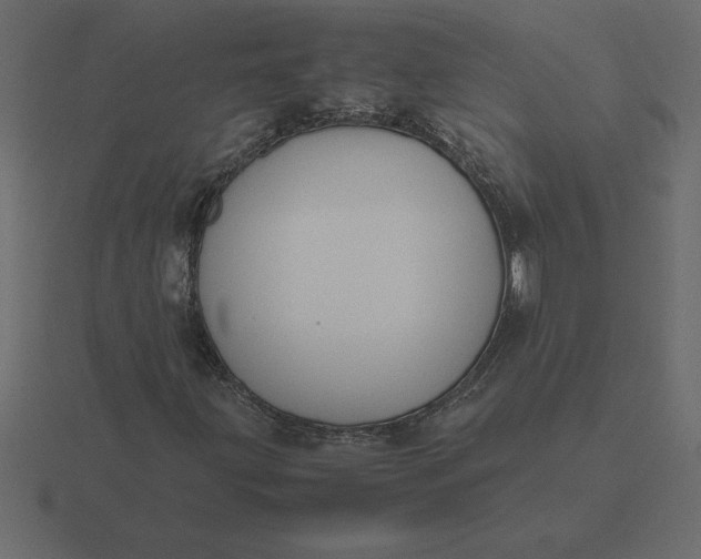 X0000116621203200912241746