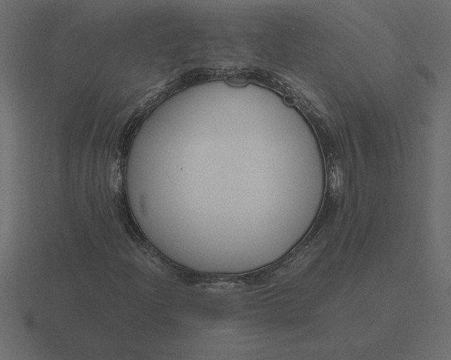 X0000116621204200912241746