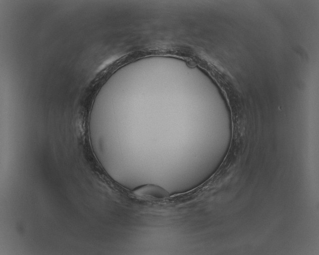 X0000116621206200912241746