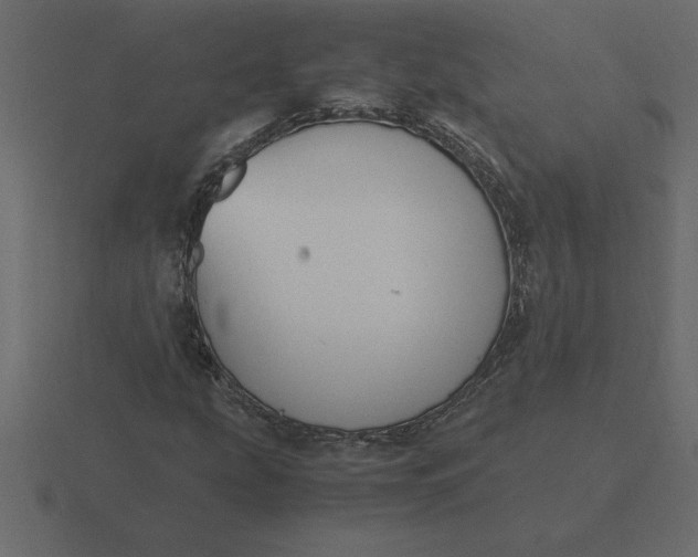 X0000116621207200912241746