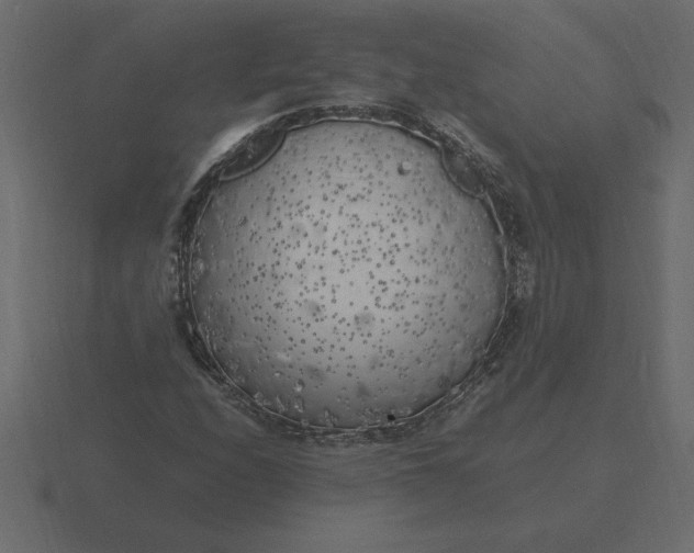 X0000116621208200912241746