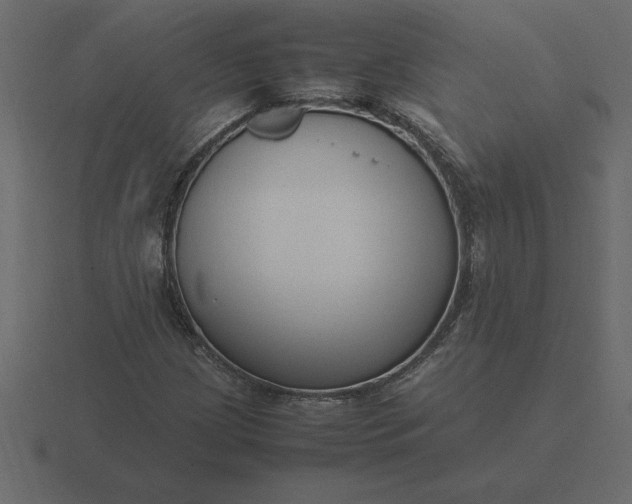 X0000116621209200912241746