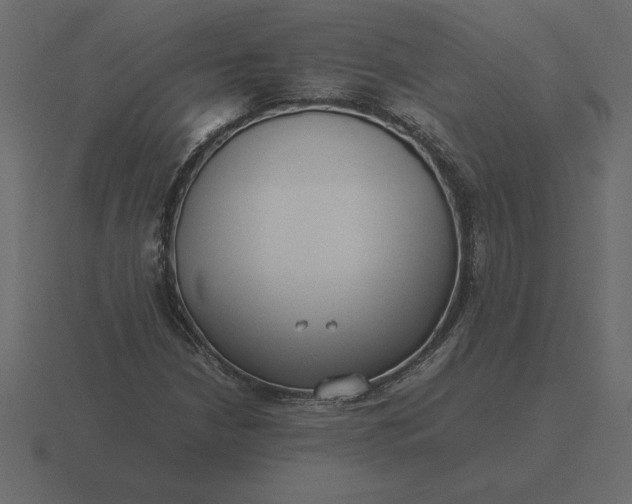 X0000116621210200912241746