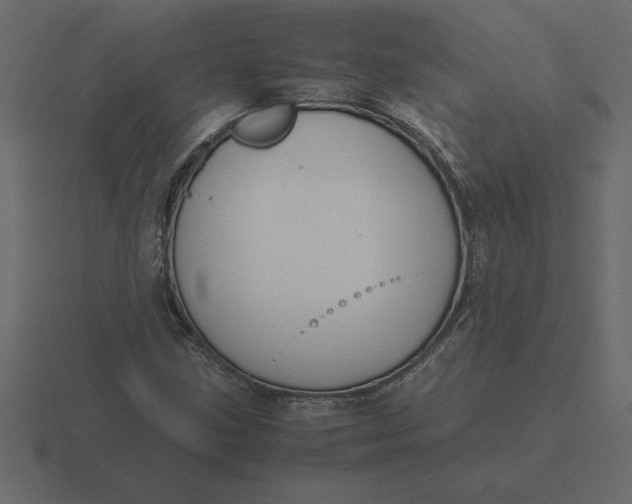 X0000116621211200912241746