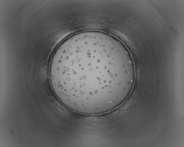 X0000116621212200912241746