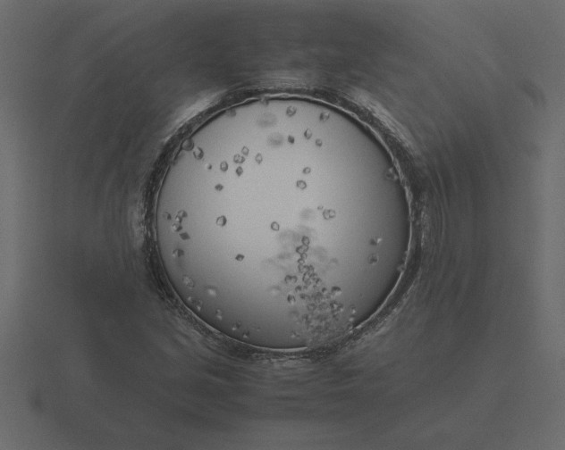 X0000116621213200912241746