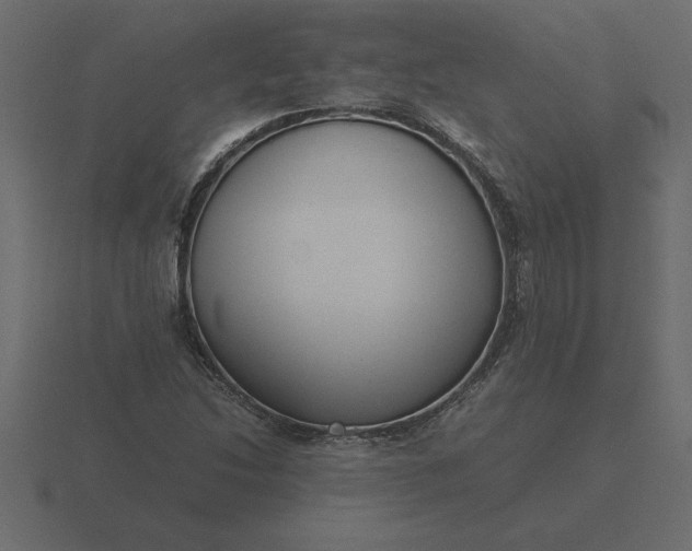 X0000116621214200912241746