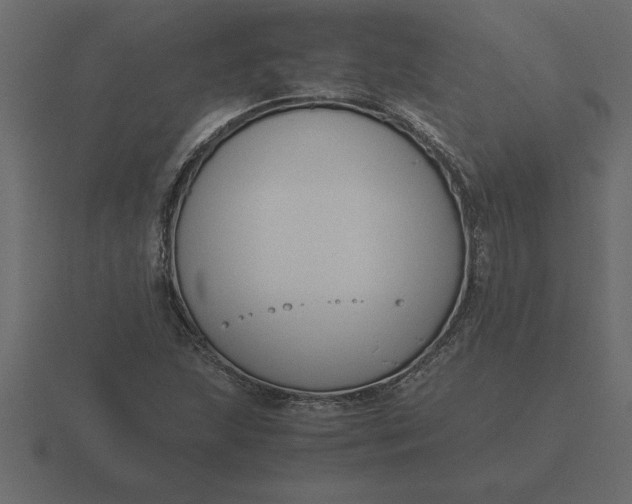 X0000116621215200912241746