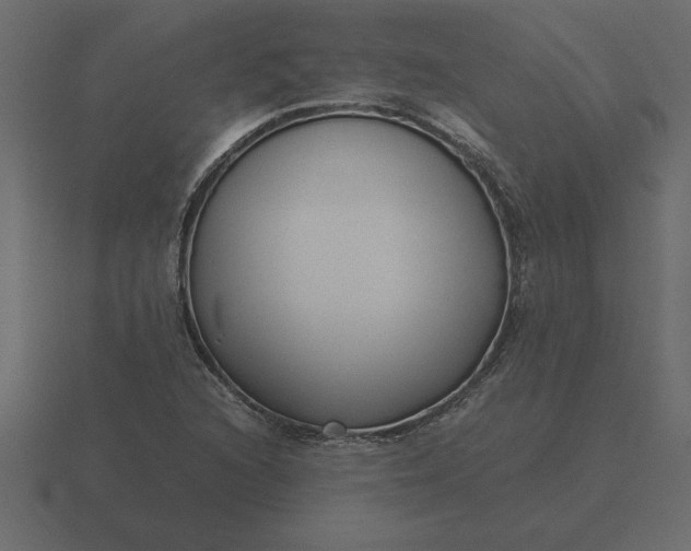 X0000116621216200912241746