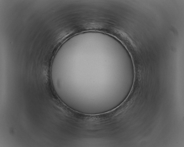 X0000116621217200912241746