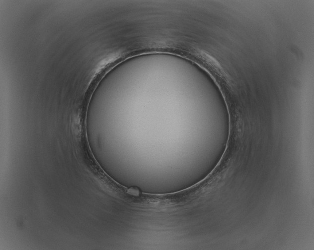 X0000116621218200912241746