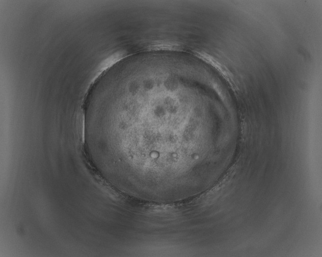 X0000116621219200912241746