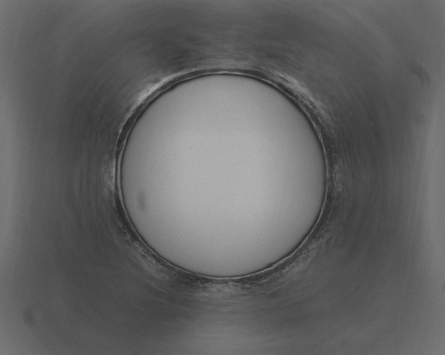 X0000116621220200912241746