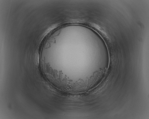 X0000116621221200912241746