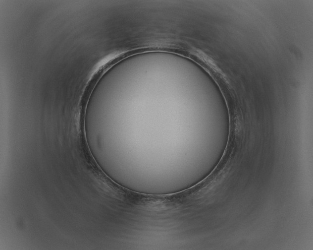 X0000116621222200912241746