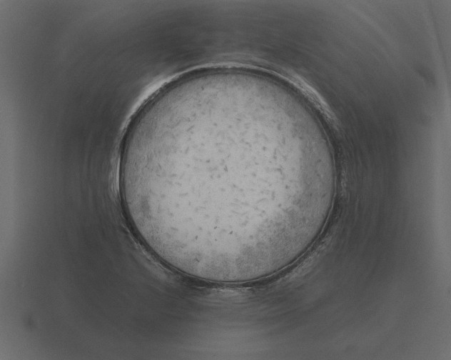 X0000116621224200912241746