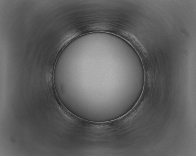 X0000116621225200912241746