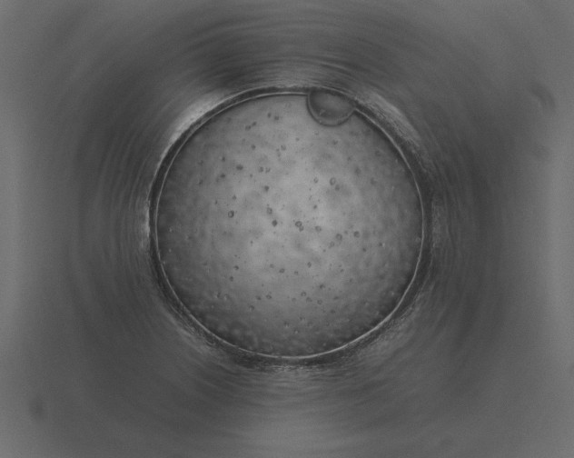 X0000116621226200912241746